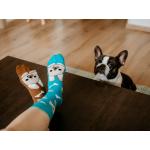 Ponožky Hesty Buldog - hnedé-modré