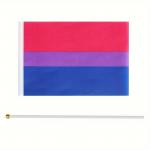 Vlajka LGBT Bisexuál 14 x 21 cm na tyčce