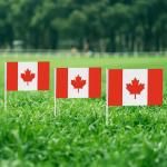 Vlajka Kanada 14 x 21 cm na plastové tyčce