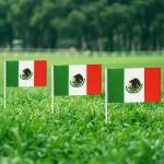 Vlajka Mexiko 14 x 21 cm na plastové tyčce