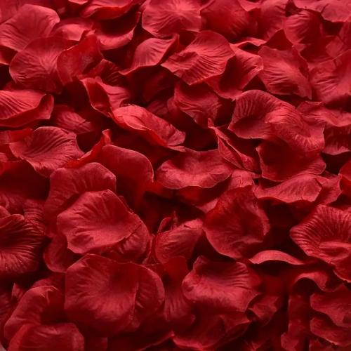 Romantické okvětní lístky růže 100 ks - červené