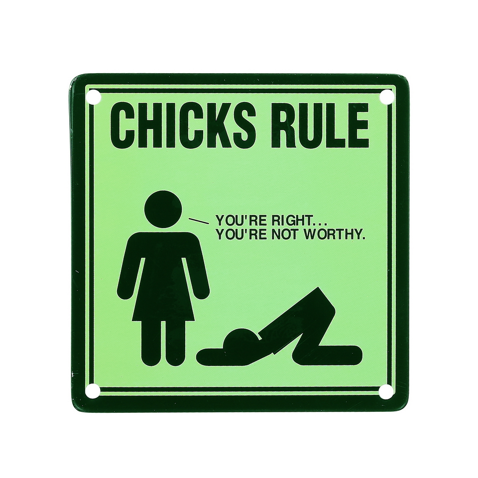 Cedule magnetická Chicks rule