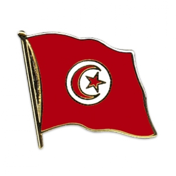 Odznak (pins) 20mm vlajka Tunisko - barevný