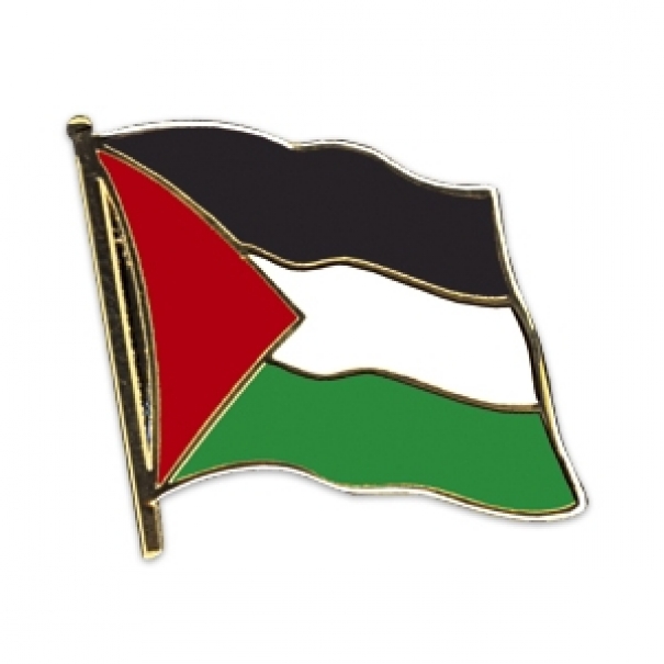Odznak (pins) 20mm vlajka Palestina