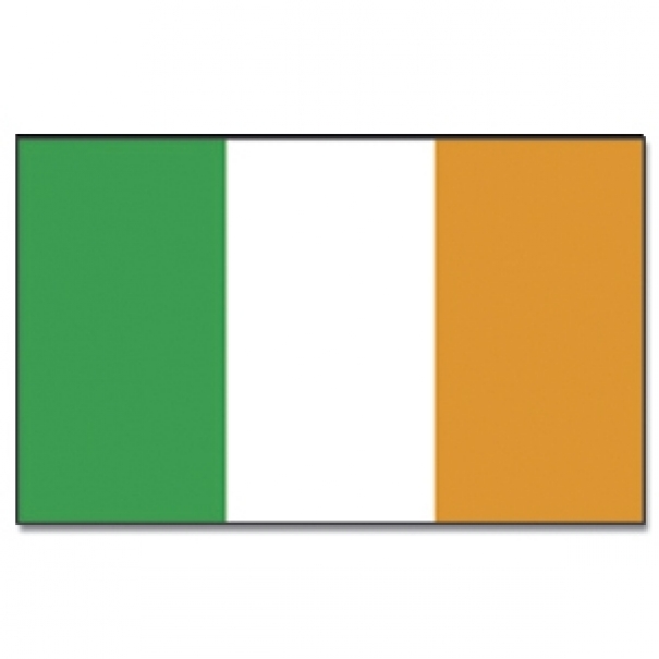 Vlajka Irsko 30 x 45 cm na tyčce