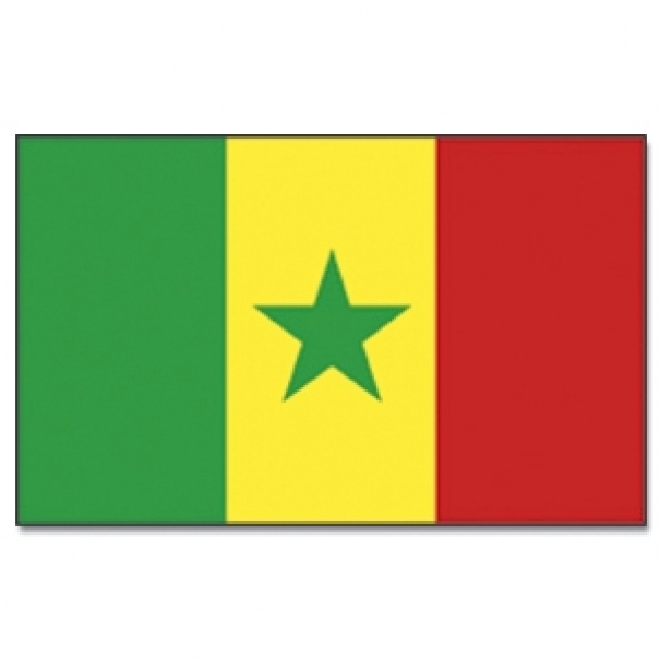 Vlajka Senegal 30 x 45 cm na tyčce