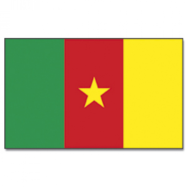 Vlajka Promex Kamerun 150 x 90 cm