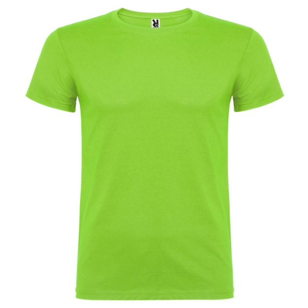 Pánské tričko Roly Dogo Beagle - světle zelené, 3XL