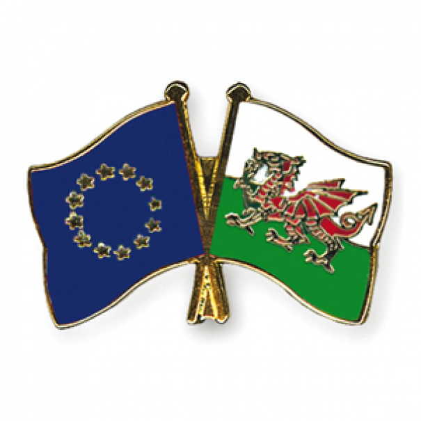 Odznak (pins) 22mm vlajka EU + Wales - barevný