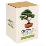 Grow it Bonsai