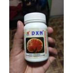 DXN Reishi Mushroom Powder prášok 22 g