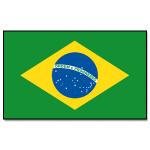 Vlajka Brazílie 30 x 45 cm na tyčce