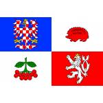 Samolepka vlajka krajská Vysočina (ČR) 21x29,7 cm 1 ks