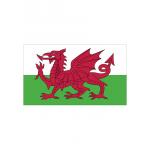 Vlajka Printwear Wales 150x90 cm
