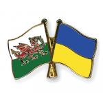 Odznak (pins) 22mm vlajka Wales + Ukrajina - barevný