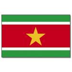 Vlajka Promex Surinam 150 x 90 cm