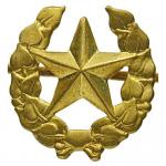 Odznak ČSLA vševojskový - zlatý