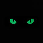Nášivka M-Tac Cat Eyes 2 - čierna