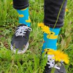 Ponožky trendy pánske Lonka Depate Kačenky - modré-žlté