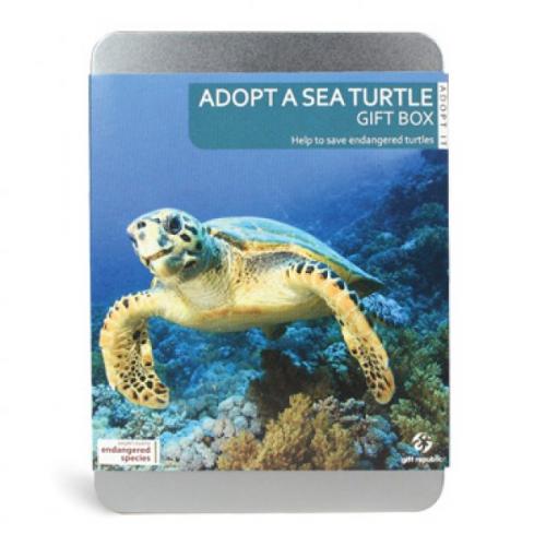 Adoptuj morskú korytnačku