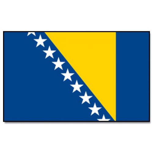 Vlajka Bosna a Hercegovina 30 x 45 cm na tyčce