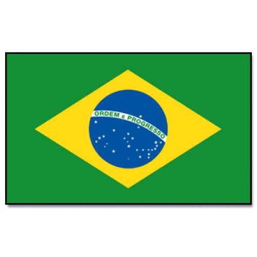 Vlajka Brazília 30 x 45 cm na tyčke