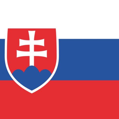 Podtácek papírový vlajka Slovensko 8,5x8,5 cm 1 ks