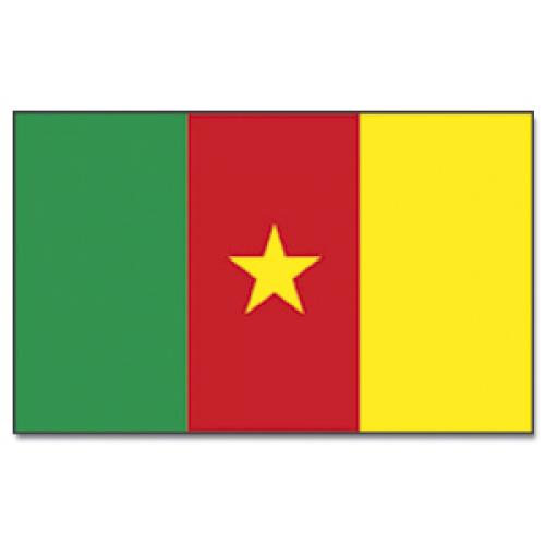 Vlajka Kamerun 30 x 45 cm na tyčce