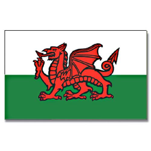 Vlajka Severní Wales 30 x 45 cm na tyčce