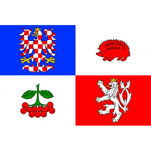Samolepka vlajka krajská Vysočina (ČR) 14,8x21 cm 1 ks