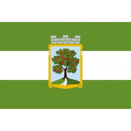 Samolepka vlajka mesto Jablonec nad Nisou (ČR) 21x29,7 cm 1 ks