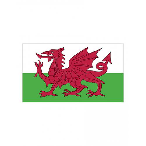 Vlajka Printwear Wales 150x90 cm