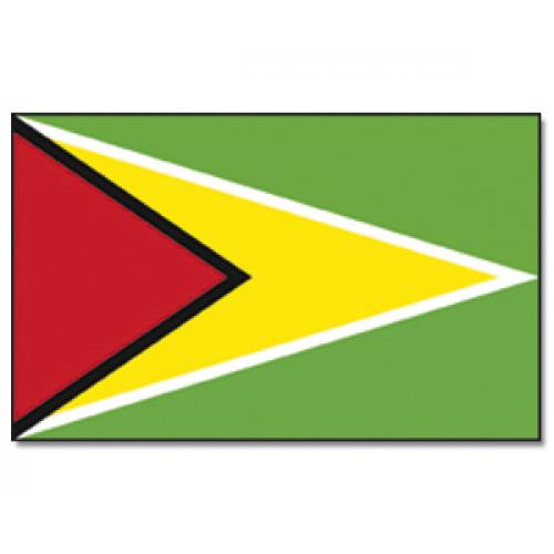 Vlajka Promex Guyana 150 x 90 cm