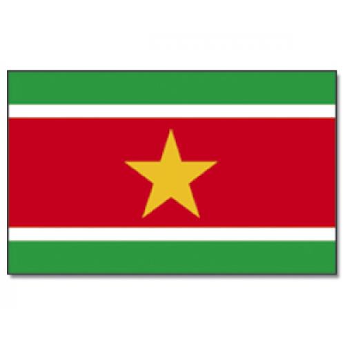 Vlajka Promex Surinam 150 x 90 cm