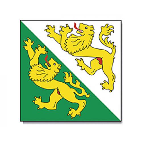 Vlajka Promex Thurgau (Švýcarsko) 90 x 90 cm
